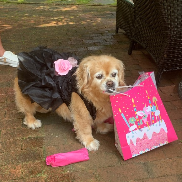 ❤️just a girl who likes clothes❤️ - Picture 4 of 9